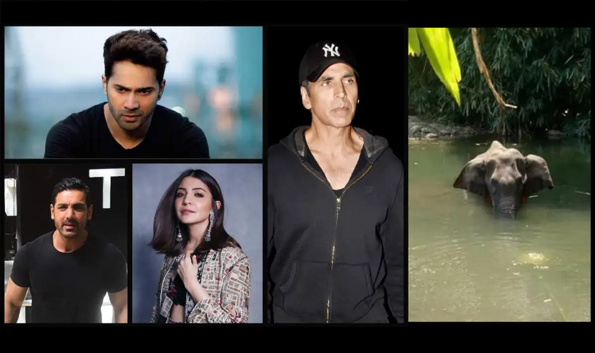 বিভিন্ন কলেজের ছাত্র-ছাত্রী ও অভিনেতাদের ছবি, জলাশয়ে হাতি. Channel i News - চ্যানেল আই নিউজ
