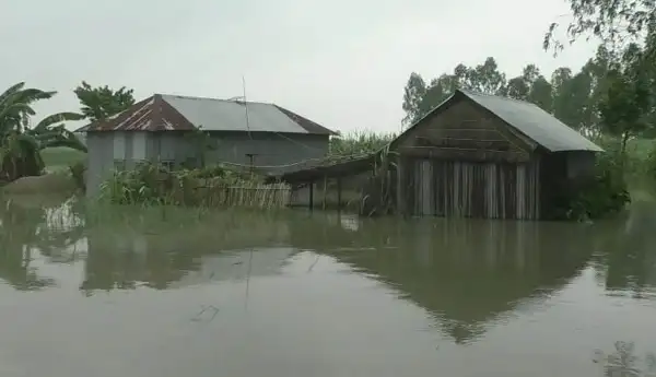 টাঙ্গাইলে বন্যার পানিতে ডুবে গেছে ঘরবাড়ি ও রাস্তা. Channel i News - চ্যানেল আই নিউজ