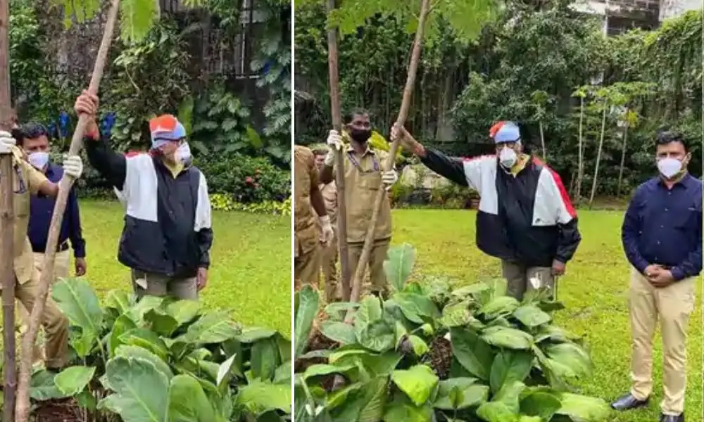 জনপ্রিয় ব্যক্তিরা বৃক্ষরোপণে অংশগ্রহণ করছেন।. Channel i News - চ্যানেল আই নিউজ