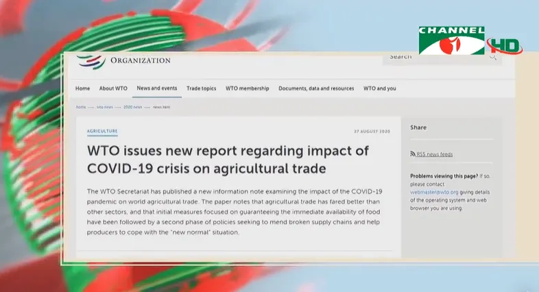 WTO এর নতুন রিপোর্ট COVID-19 এর প্রভাব নিয়ে আলোচনা করছে. Channel i News - চ্যানেল আই নিউজ