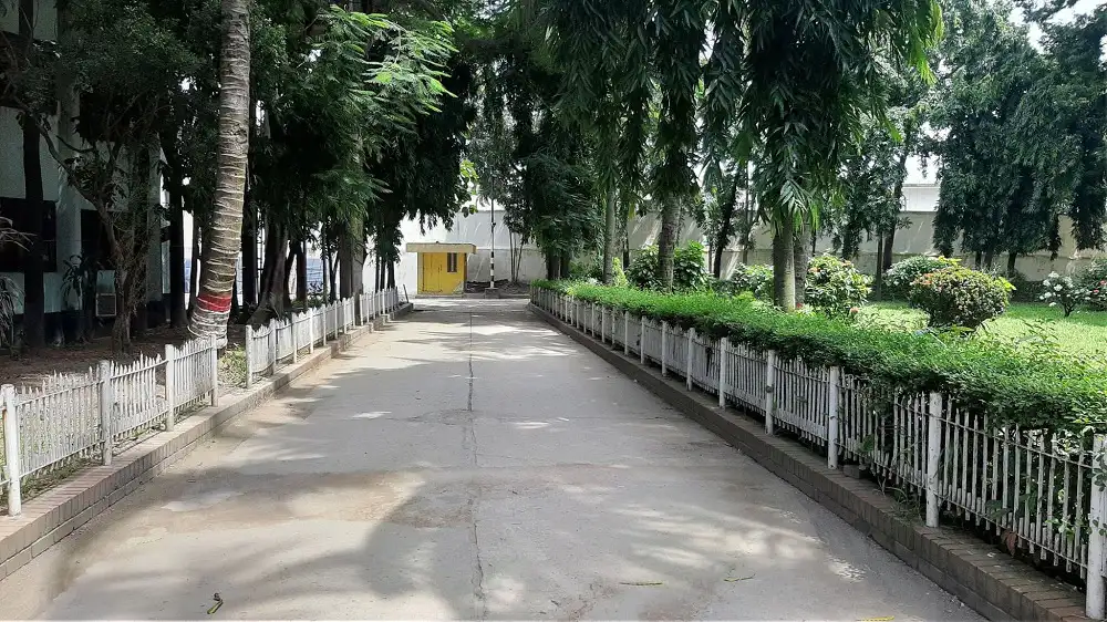 ফাঁকা এফডিসি, শুটিং শূন্য, শান্ত পরিবেশ, সবুজ গাছপালা ও সড়ক।. Channel i News - চ্যানেল আই নিউজ