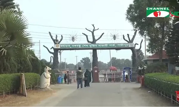সাফারি পার্কের প্রবেশদ্বার, গাছের শাখা ও দর্শনার্থীরা. Channel i News - চ্যানেল আই নিউজ