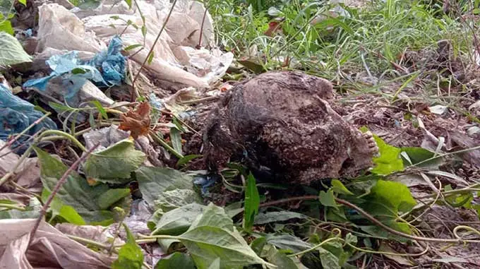 বস্তাবন্দি কঙ্কাল নদীর পাড়ে পড়ে আছে, চারপাশে গাছপালা ও আবর্জনা. Channel i News - চ্যানেল আই নিউজ