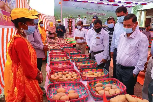 Farmers and officials inspecting baskets of potatoes at a market event in Bangladesh. Channel i News - চ্যানেল আই নিউজ