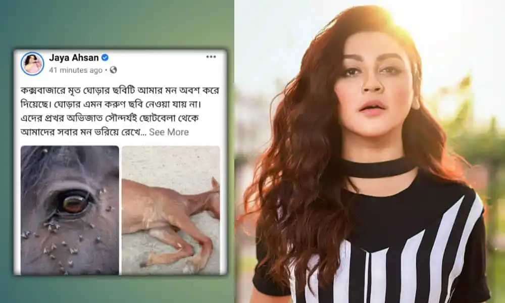 মৃত ঘোড়ার ছবি, বিষন্নতা ও শোক প্রকাশ, বাংলাদেশ সংবাদ. Channel i News - চ্যানেল আই নিউজ