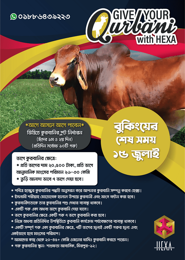 কোরবানি জন্য হেক্সা ট্রেডিং এর সাশ্রয়ী ও ঝামেলামুক্ত পরিষেবা. Channel i News - চ্যানেল আই নিউজ