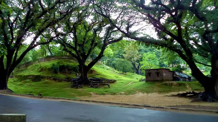 সিআরবি এলাকায় বড় বড় গাছের ছায়ায় শান্তিপূর্ণ পরিবেশ. Channel i News - চ্যানেল আই নিউজ