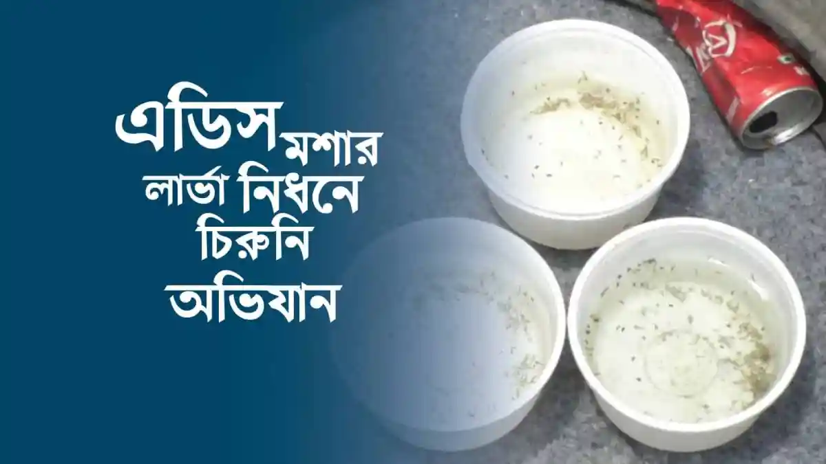এডিস মশার লার্ভা ধ্বংসের জন্য চিরুনি অভিযান চালানো হচ্ছে. Channel i News - চ্যানেল আই নিউজ