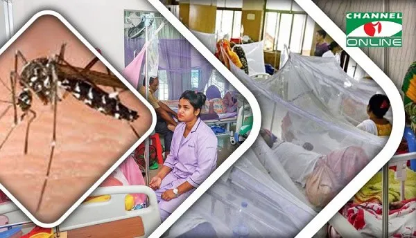 ডেঙ্গু রোগীর হাসপাতালে চিকিৎসা নিচ্ছেন রোগীরা. Channel i News - চ্যানেল আই নিউজ