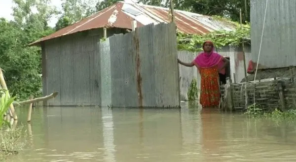টাঙ্গাইলে পানিবন্দি মানুষ, জলাবদ্ধতা পরিস্থিতি. Channel i News - চ্যানেল আই নিউজ