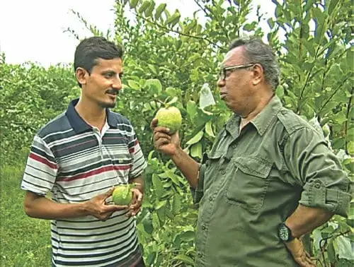 শাইখ সিরাজের সঙ্গে যুবক কৃষক ফলের গাছ দেখাচ্ছেন. Channel i News - চ্যানেল আই নিউজ
