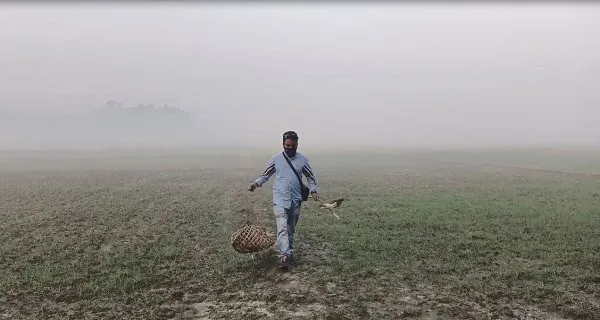 নাটোরে ধুলোময় পরিবেশে পাখি অবমুক্তি কর্মসূচি. Channel i News - চ্যানেল আই নিউজ
