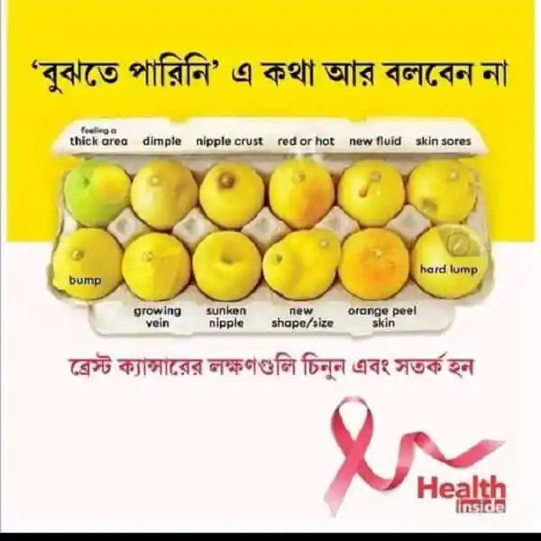 ব্রেস্ট ক্যান্সার সচেতনতার জন্য লাল রঙের রিবন ও ফলের ছবি।. Channel i News - চ্যানেল আই নিউজ