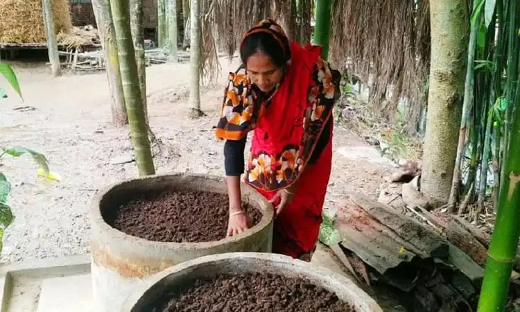 নারী ভার্মি কম্পোস্ট তৈরির জন্য মাটিতে হাত দিচ্ছেন. Channel i News - চ্যানেল আই নিউজ