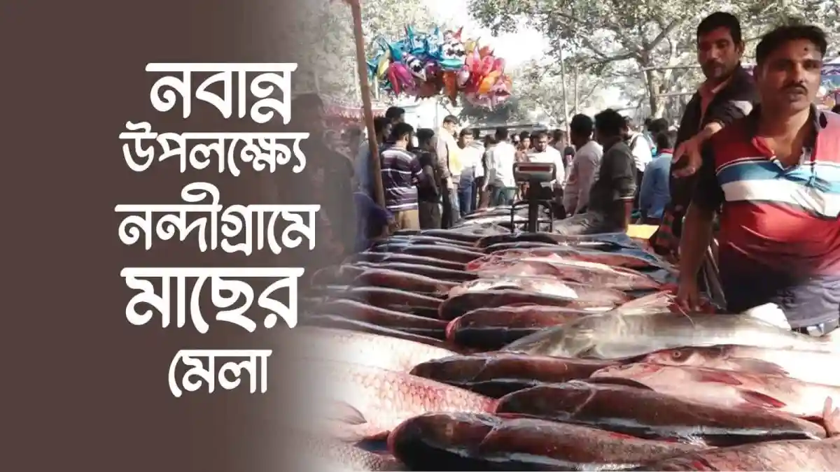 নবান্ন উৎসবের নন্দীগ্রামে মাছের মেলা, মাছের দোকান ও দর্শনার্থীদের ভিড়. Channel i News - চ্যানেল আই নিউজ