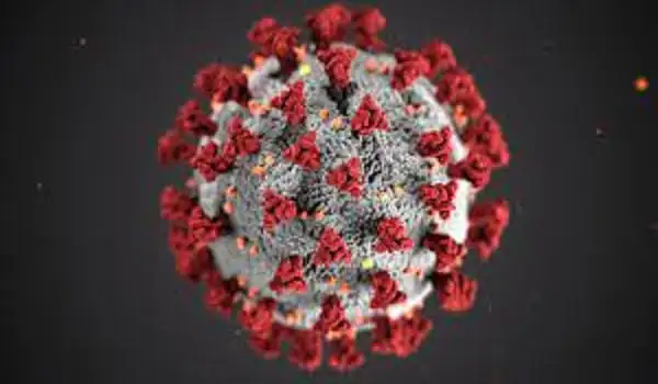 করোনা ভাইরাসের মডেল ছবি, বৈজ্ঞানিক উপস্থাপনা. Channel i News - চ্যানেল আই নিউজ