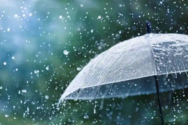 বৃষ্টির ফোঁটা পড়ছে একটি ছাতা উপরে, আকাশে ঝরছে বৃষ্টি।. Channel i News - চ্যানেল আই নিউজ