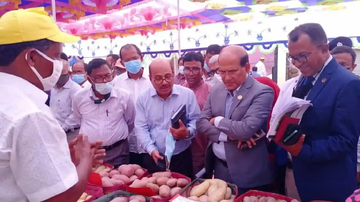 উত্তরাঞ্চলের কৃষকরা আলু রপ্তানির জন্য প্রস্তুত, সরকারী কর্মকর্তাদের সাথে আলোচনা।. Channel i News - চ্যানেল আই নিউজ