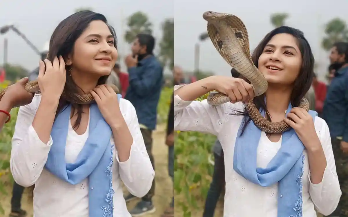 নারী ও সাপের ছবি, চ্যানেল আই অনলাইন সংবাদ পোর্টাল. Channel i News - চ্যানেল আই নিউজ