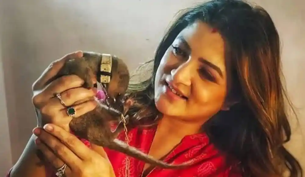শ্রাবন্তীকে দেখা যাচ্ছে একটি পুতুলের সাথে খেলা করছেন. Channel i News - চ্যানেল আই নিউজ