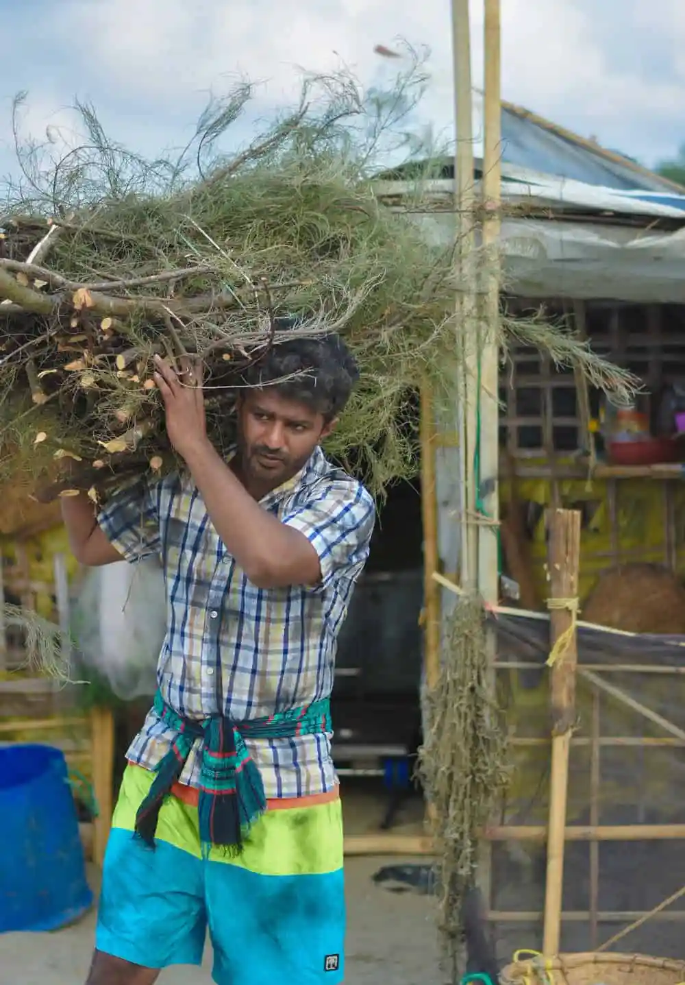 শ্রমিক একটি গাছের ডাল বহন করছেন, পেছনে ঝুঁকিপূর্ণ পরিবেশ. Channel i News - চ্যানেল আই নিউজ