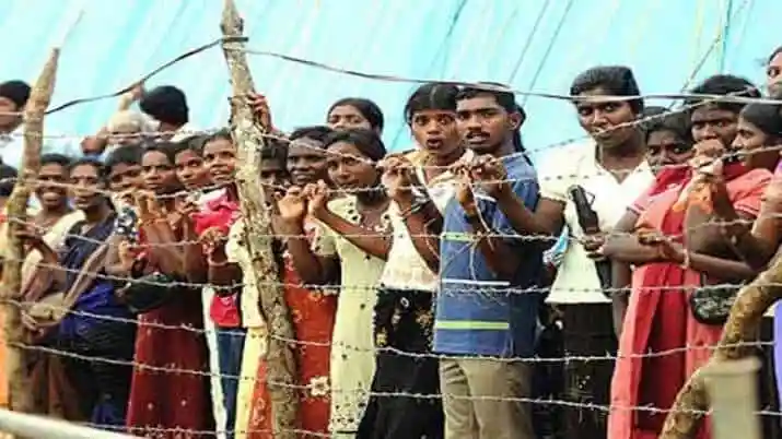 শ্রীলঙ্কা থেকে পালিয়ে আসা নারী ও শিশুসহ ১৯ জনের ছবি. Channel i News - চ্যানেল আই নিউজ