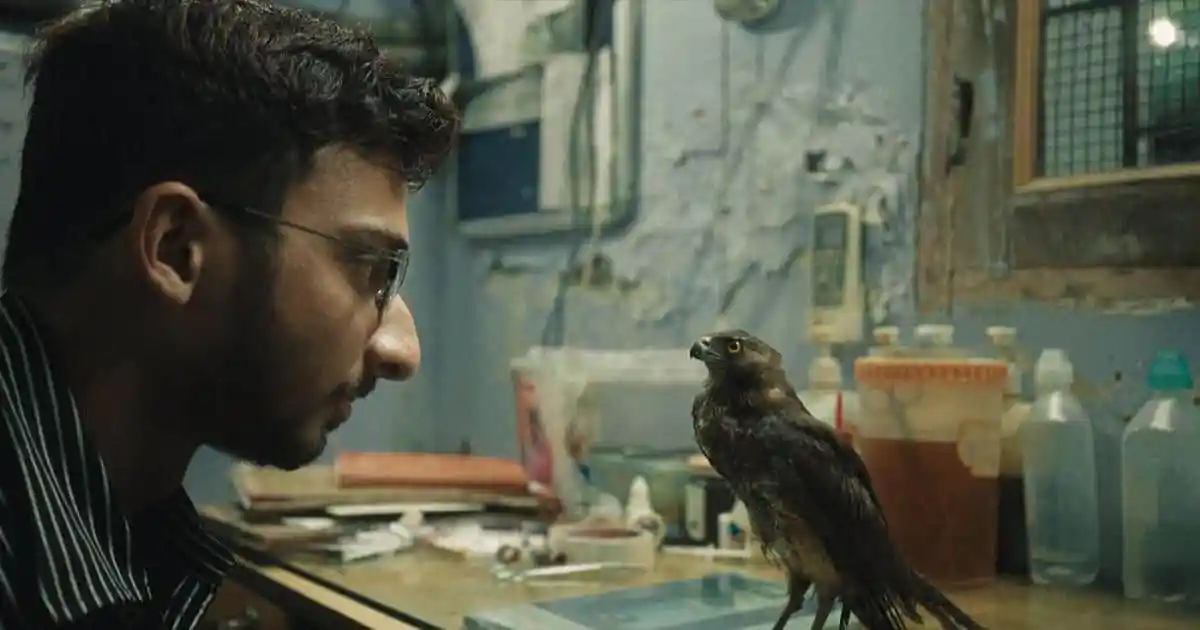 বিজ্ঞানী ও পাখির মধ্যে সংলাপ, গবেষণাগারে দৃশ্য. Channel i News - চ্যানেল আই নিউজ