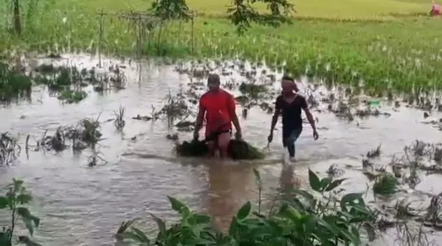 সুনামগঞ্জে বন্যার পানিতে কৃষকেরা ক্ষতিগ্রস্ত, পানি ও খাদ্য সংকট. Channel i News - চ্যানেল আই নিউজ