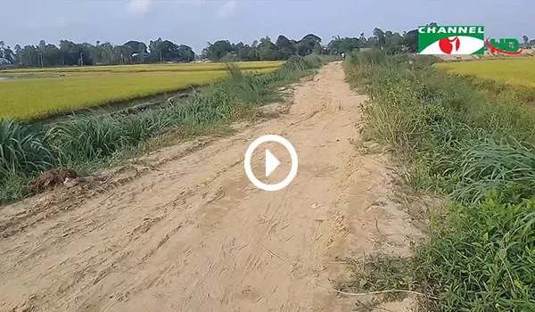 আড়াই কিলো মাটির রাস্তা, মানুষের স্বস্তি, টাঙ্গাইলের বাসাইল. Channel i News - চ্যানেল আই নিউজ