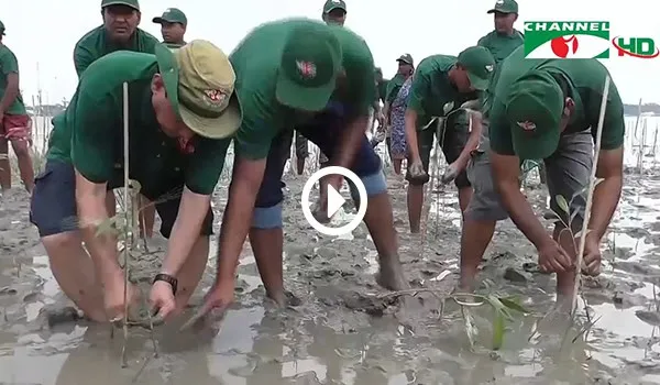 বাংলাদেশে কৃষকরা ধান রোপণে ব্যস্ত, কৃষি কাজে অংশগ্রহণ।. Channel i News - চ্যানেল আই নিউজ