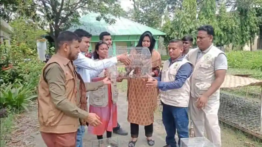 মোবাইল কোর্টের মাধ্যমে পাখি ব্যবসায়ীদের জরিমানা ও সতর্কতা. Channel i News - চ্যানেল আই নিউজ