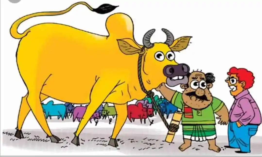 গরু-মহিষের বিরোধের সমাধানে জামাই-শ্বশুরের আলোচনা. Channel i News - চ্যানেল আই নিউজ