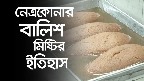 নেত্রকোনার বালিশ মিষ্টির ইতিহাসের ছবি, বালিশ মিষ্টি দেখানো হয়েছে. Channel i News - চ্যানেল আই নিউজ