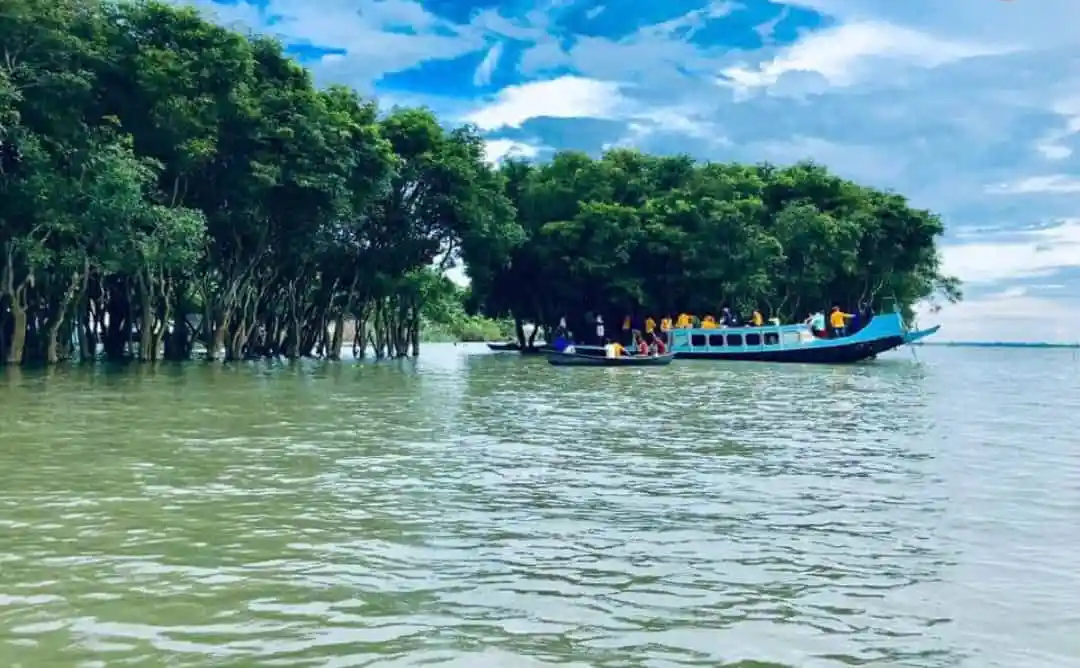 নৌকা দিয়ে হাওরে পর্যটকরা ভ্রমণ করছে, সবুজ গাছের ছায়ায়. Channel i News - চ্যানেল আই নিউজ