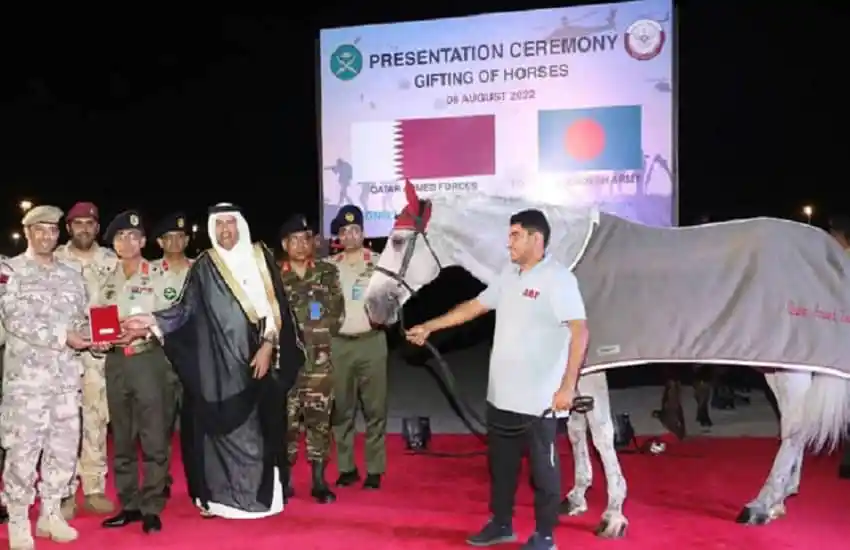 কাতার সশস্ত্র বাহিনী বাংলাদেশ সেনাবাহিনীকে ঘোড়া উপহার দিচ্ছে. Channel i News - চ্যানেল আই নিউজ