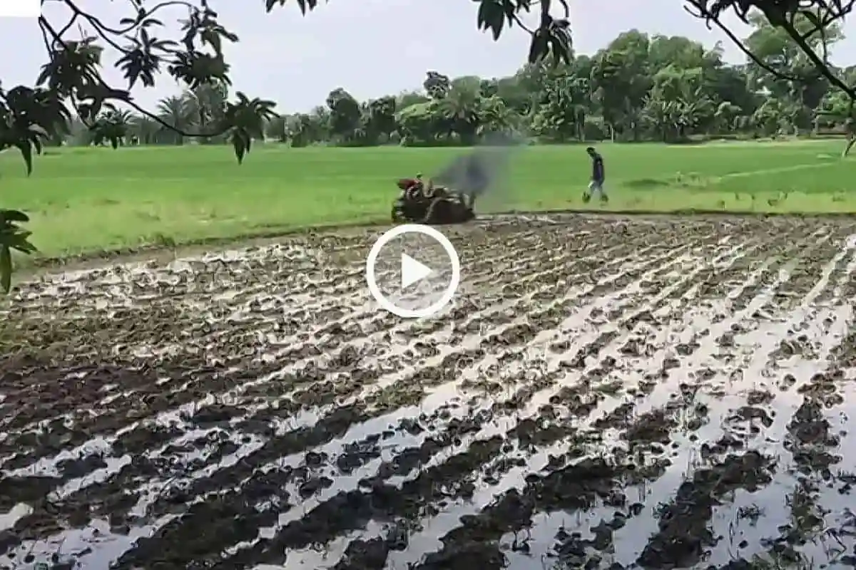 চাষের জমিতে ধান রোপণের জন্য প্রস্তুত কৃষক ও ট্রাক্টর. Channel i News - চ্যানেল আই নিউজ