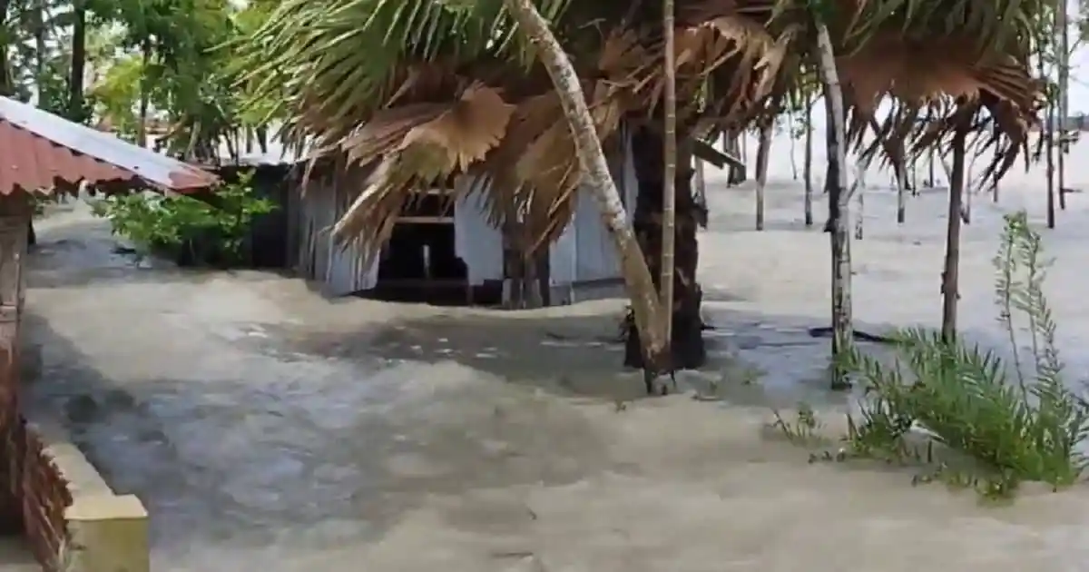 নোয়াখালীর নিঝুমদ্বীপের নিম্নাঞ্চল প্লাবিত, জোয়ারের পানিতে জলাবদ্ধতা. Channel i News - চ্যানেল আই নিউজ