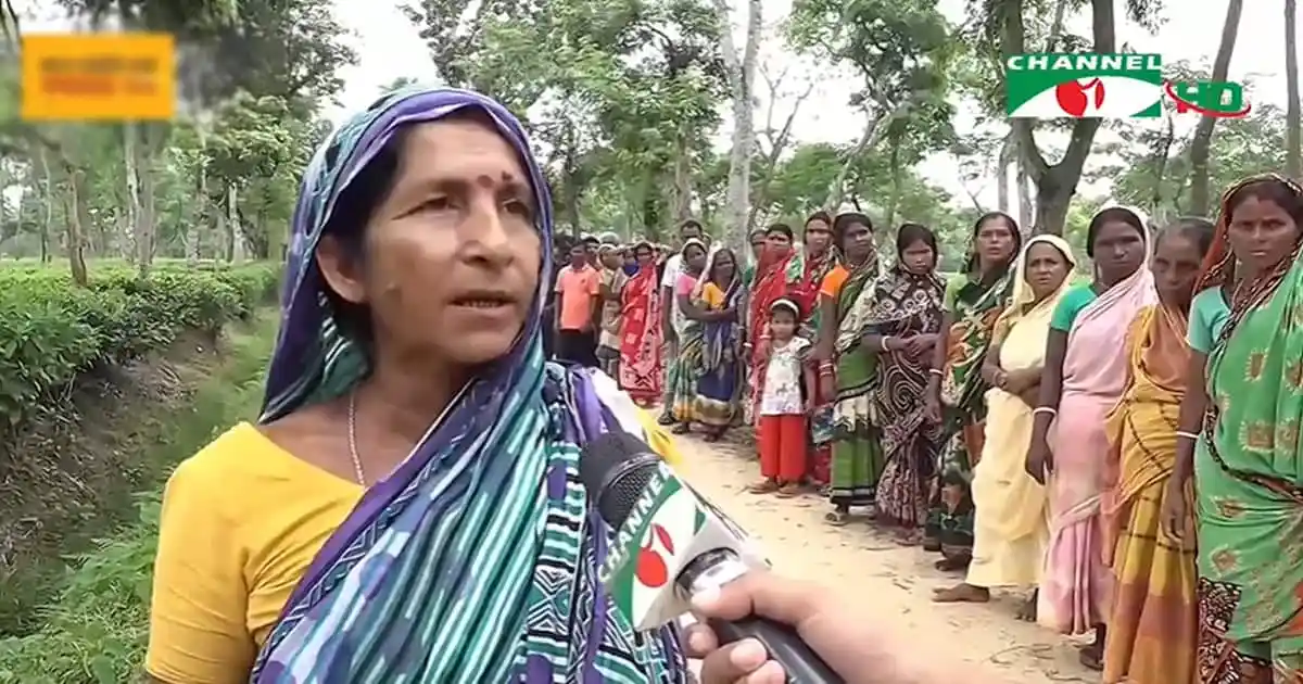 চা শ্রমিকদের মজুরি বৃদ্ধির দাবিতে নারীদের মানববন্ধন. Channel i News - চ্যানেল আই নিউজ