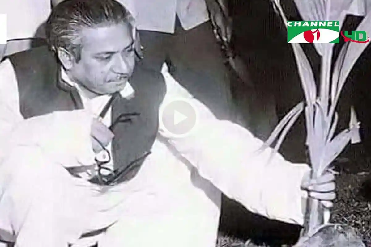 জাতির জনক বঙ্গবন্ধু ফুলের তোড়া হাতে পরিবেশের জন্য শুভকামনা জানাচ্ছেন. Channel i News - চ্যানেল আই নিউজ