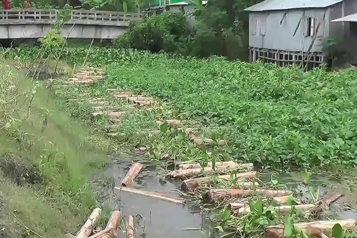 চরসোনাকুড়ের খাল দখল ও দূষণের কারণে জলাবদ্ধতা সৃষ্টি হচ্ছে।. Channel i News - চ্যানেল আই নিউজ
