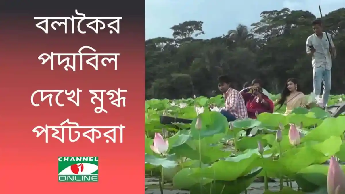 পর্যটকরা বলাকৈর পদ্মবিলের সৌন্দর্য উপভোগ করছে।. Channel i News - চ্যানেল আই নিউজ