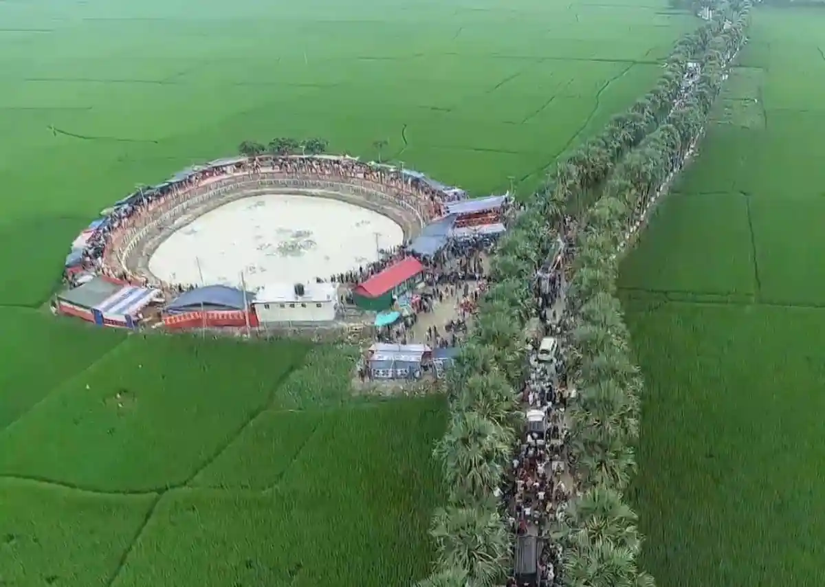 নওগাঁর ঘুঘুডাঙা গ্রামে তালপিঠা উৎসবের দৃশ্য. Channel i News - চ্যানেল আই নিউজ