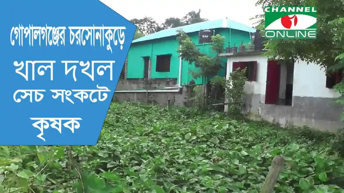 গোপালগঞ্জের চরসোনাকুড়ে খাল দখল ও সেচ সংকটে কৃষক. Channel i News - চ্যানেল আই নিউজ