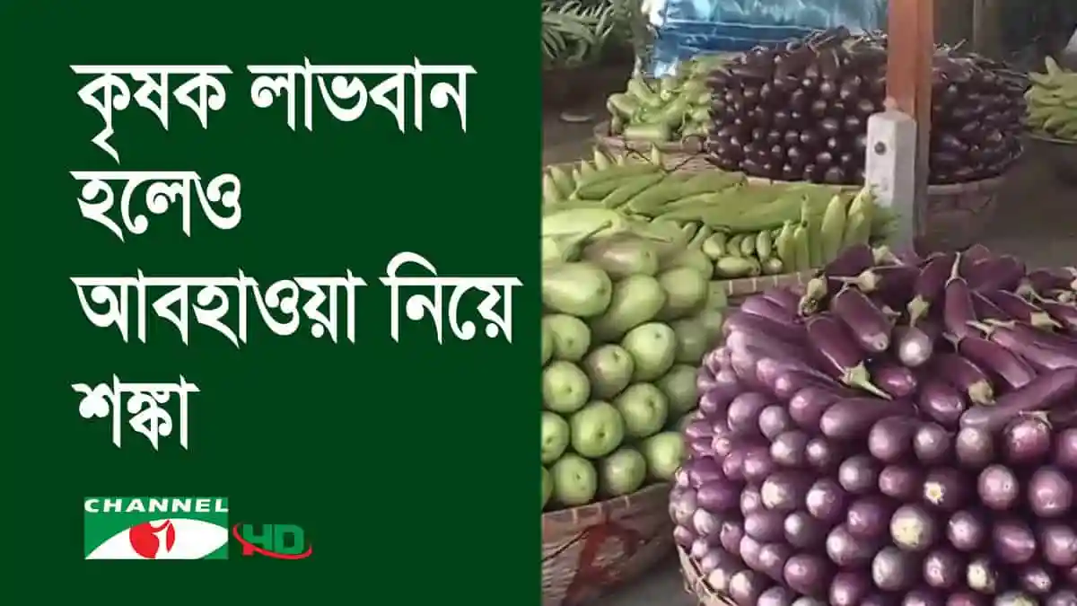 শীতকালীন সবজি বিক্রির জন্য বাজারে রাখা হয়েছে. Channel i News - চ্যানেল আই নিউজ