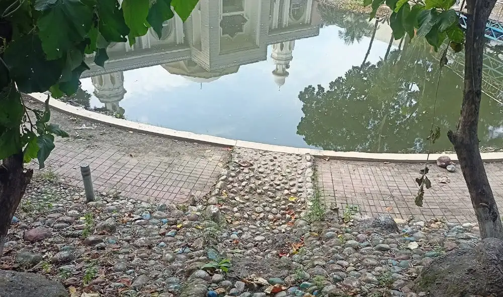 এফডিসির পুকুরের পাশে পাথর ও পাতা দিয়ে তৈরি পথ. Channel i News - চ্যানেল আই নিউজ