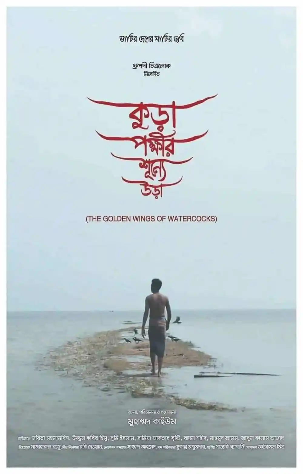 একজন ব্যক্তি জলপথে হাঁটছেন, পাখির ছবি ও প্রকৃতি দৃশ্য. Channel i News - চ্যানেল আই নিউজ