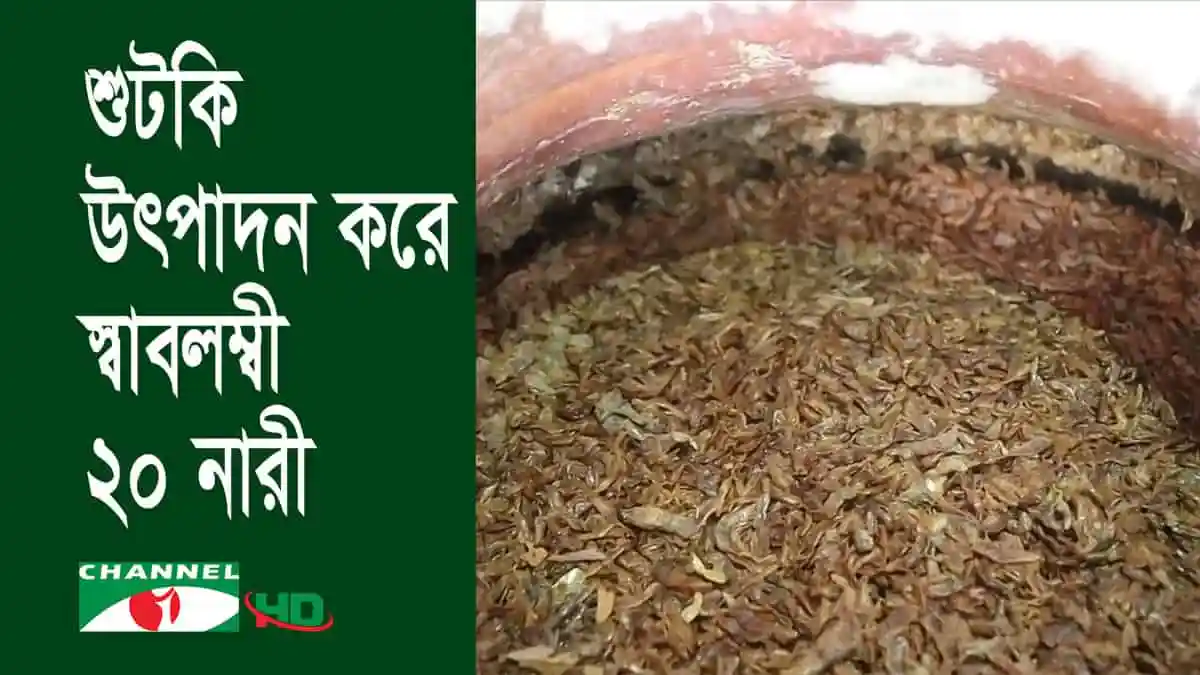 শুটকি উৎপাদনের প্রক্রিয়া দেখাচ্ছে নারীরা, নওগাঁয়. Channel i News - চ্যানেল আই নিউজ