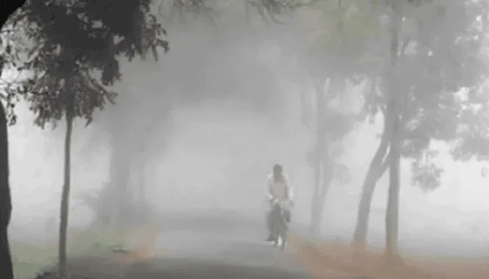ঘন কুয়াশার মধ্যে নওগাঁর রাস্তা দিয়ে বাইক চালাচ্ছে একজন ব্যক্তি. Channel i News - চ্যানেল আই নিউজ
