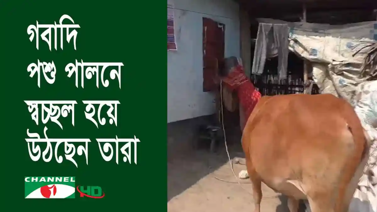 খুলনায় আশ্রয়ন প্রকল্পের পরিবারের জীবনমান উন্নত হচ্ছে. Channel i News - চ্যানেল আই নিউজ