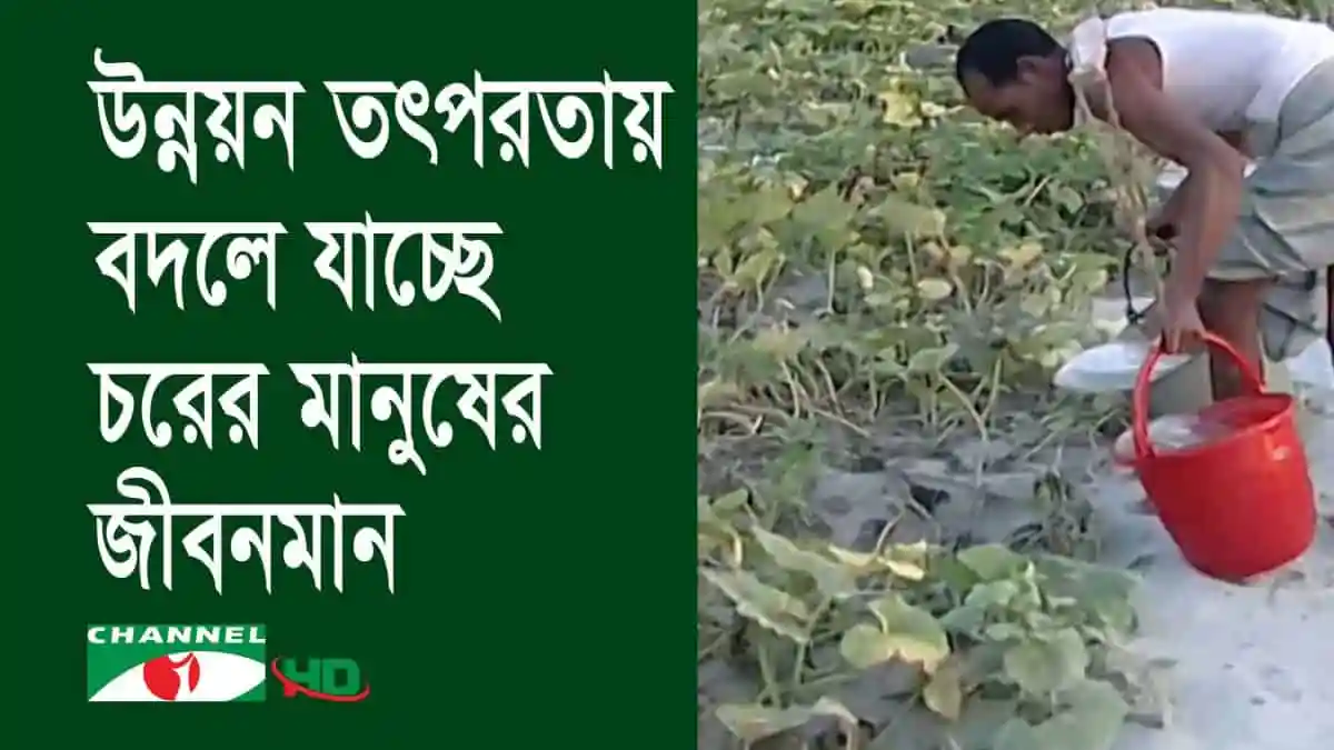 যমুনার চরে কৃষি প্রযুক্তির মাধ্যমে ফল ও শাকসবজি চাষ. Channel i News - চ্যানেল আই নিউজ